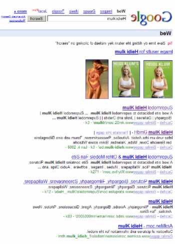 verdrehtes Google-Suchergebnis für 'Heidi Klum'