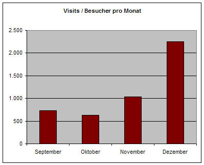 Monatliche Visits 2005