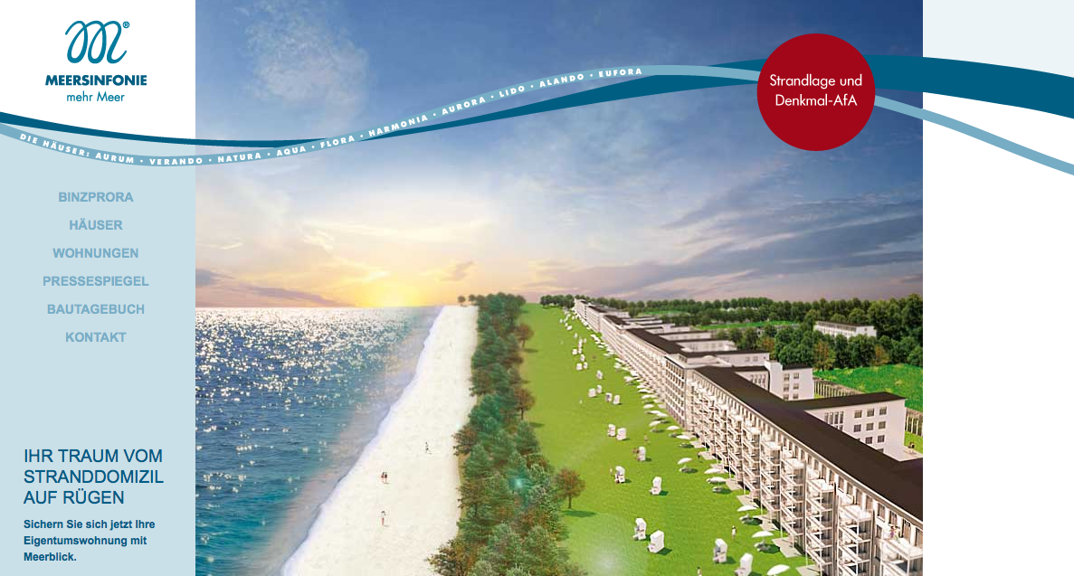 Screenshot Binzprora-Website